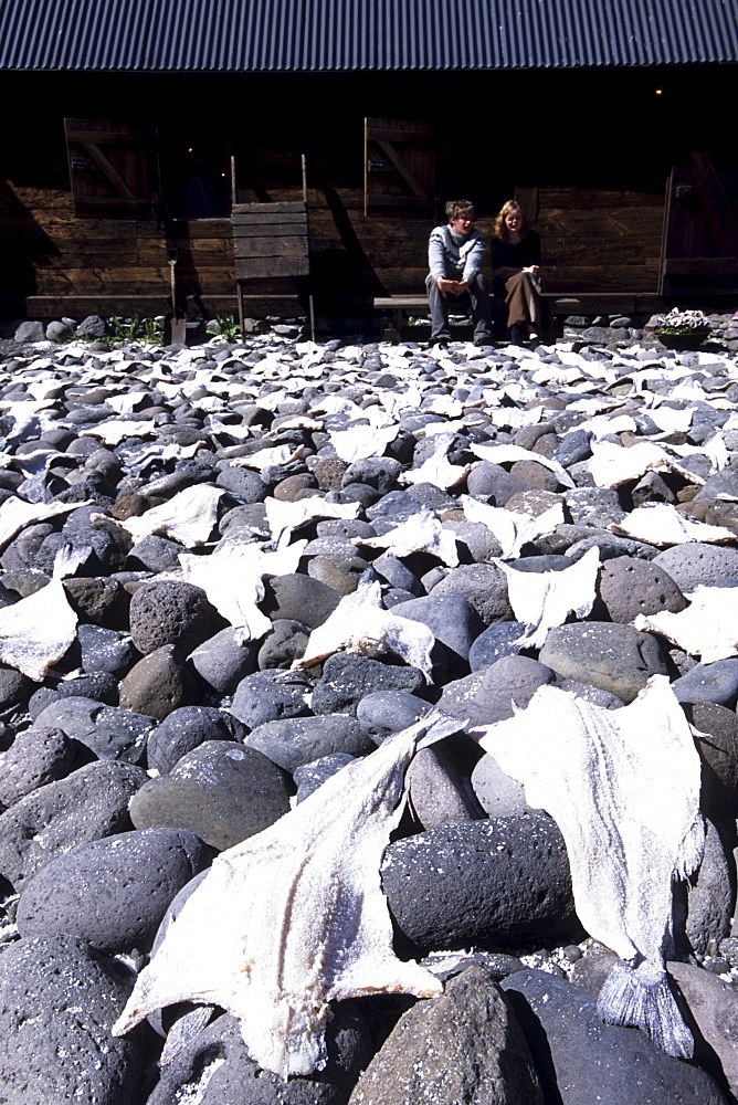 Drying Icelandic Saltfish, Turnhus Maritime Museum, Ã•safjoerdur, Isafj'rdur, Ã•safjardarbar, Iceland