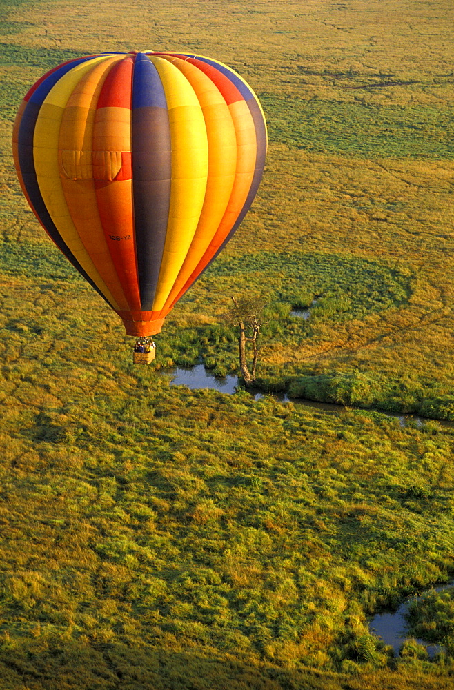 Hot-air ballon ride, Masai Mara National Park, Kenia, Africa