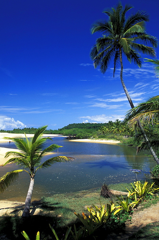 Palm beach, Rio da Barra, Arraial DÂ¥Ajuda, Bahia, Brazil