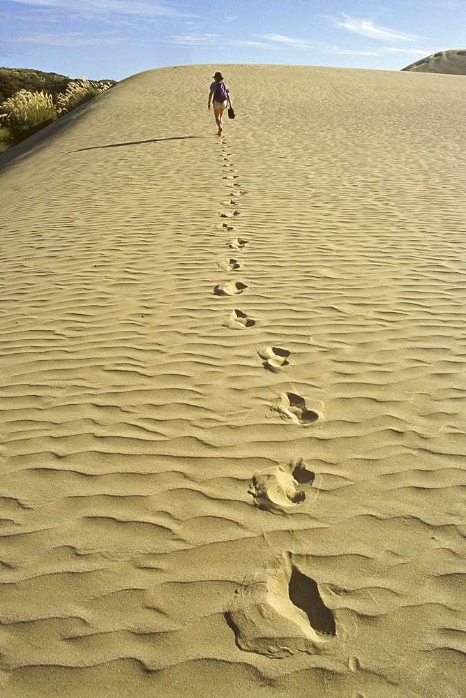 A person and footprints on Te Paki sand dune, North Island, New Zealand, Oceania