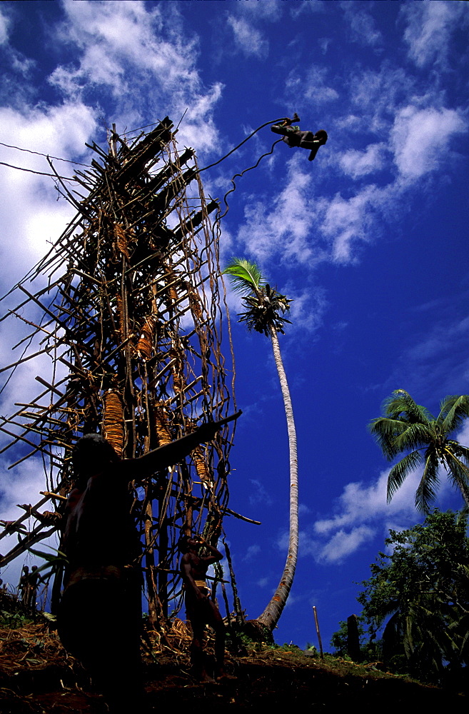 Local man bungee jumping from a platform, ritual, Vanuatu, Polynesia, Asia