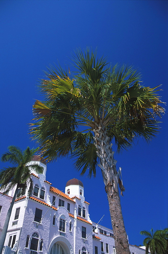 House und palm tree under blue sky, Palm Beach, Florida USA, America