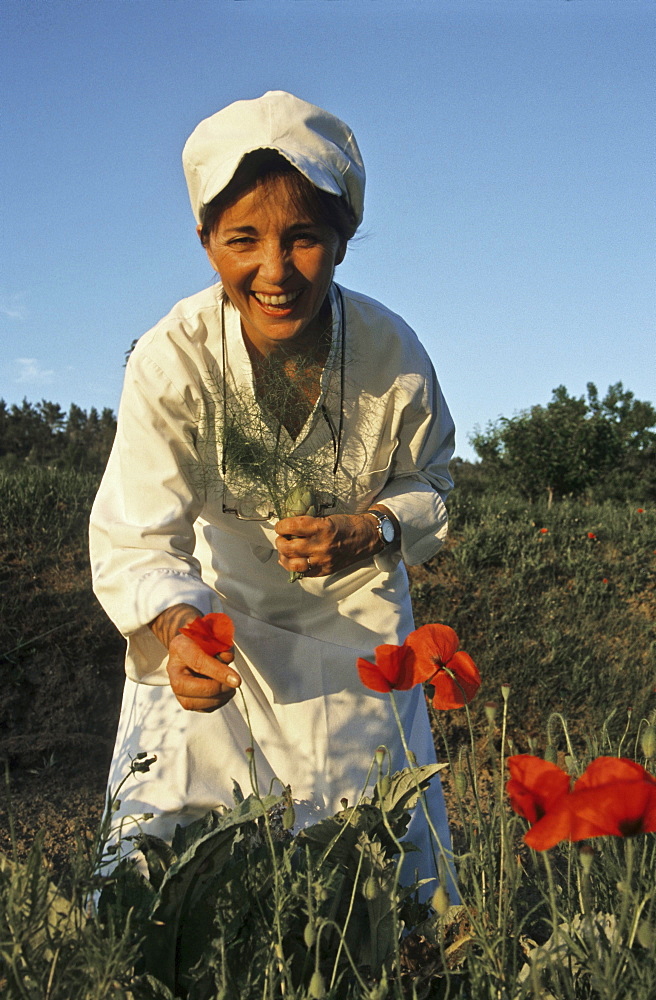 Reine Sammut picking poppy seeds, gourmet chef of Hotel Auberge La Fanerie, Loumarin, Provence