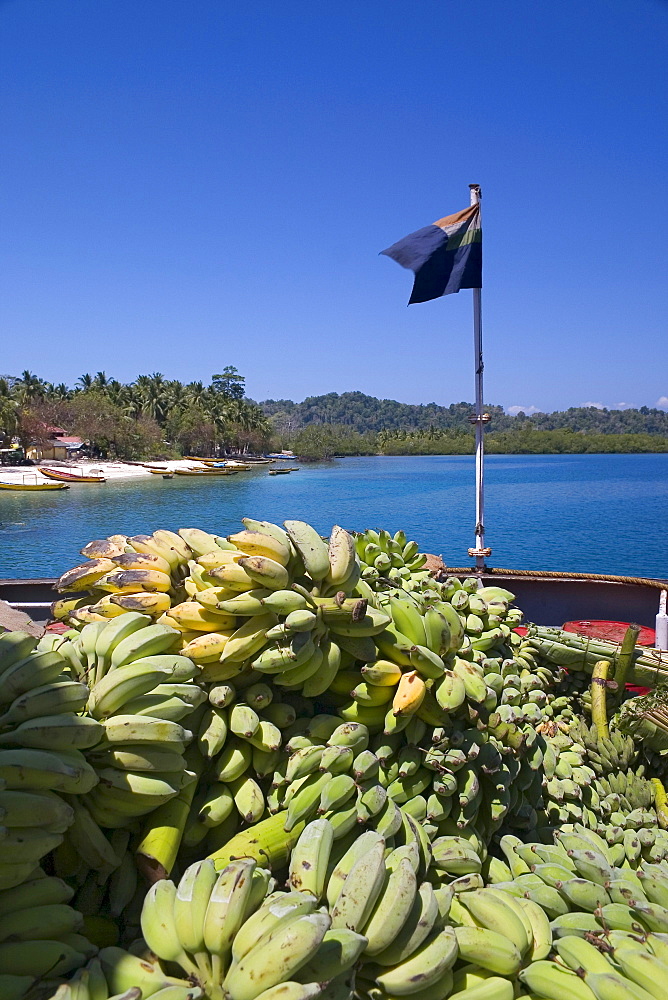 Bananas on a boat, Musa species, Havelock Island, Andaman Islands, India