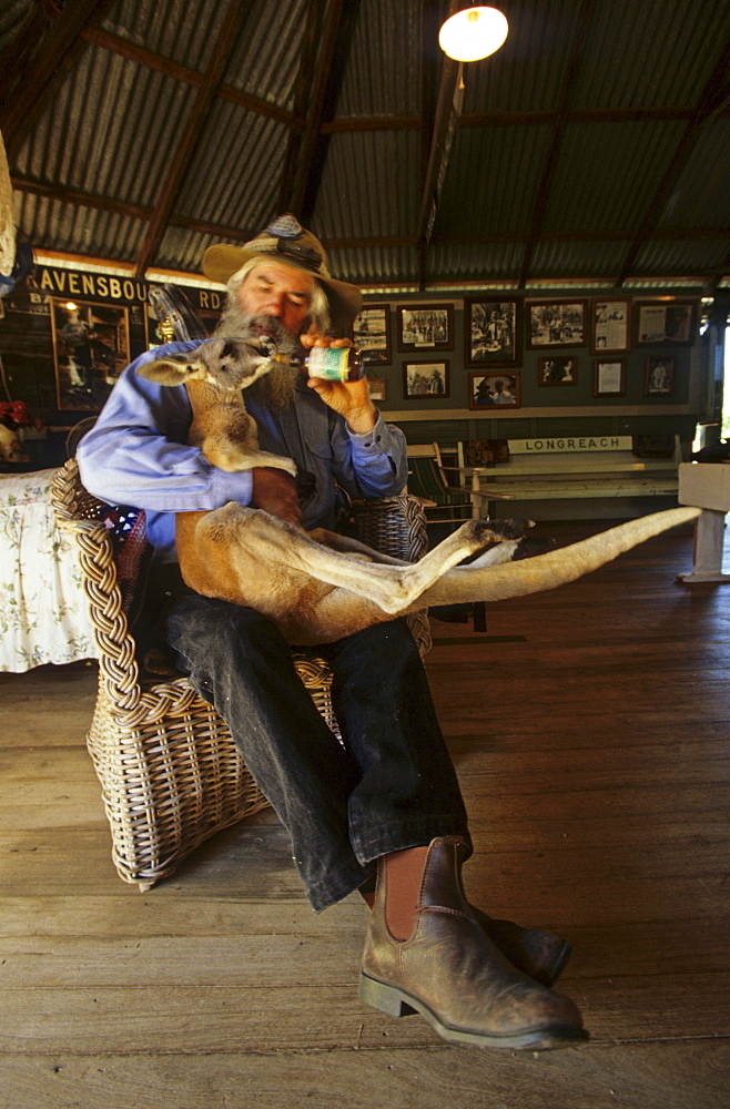 Mick Morrison, feeding a young kangaroo, Portrait of Mick who has a small curious museum called Mad Mick's Farm in Barcaldine, Local Aussie character, Maltilda Highway, Queensland, Australia