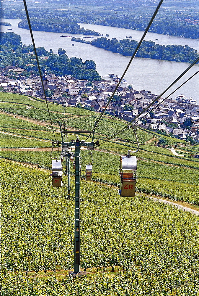 View at chair lift above idyllic landscape, Rudesheim, Rheingau, Hesse, Germany, Europe