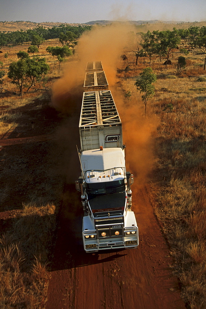 aerial view of cattle truck on dirt road, Kimberley, Australia