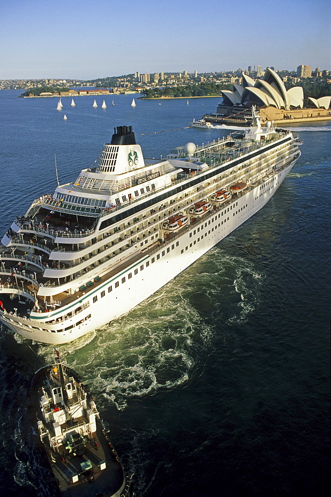 Cruise Ship from Sydney Harbour Bridge, Sydney Opera House, architect Jorn Utzon, Sydney, Sydney Harbour, New South Wales, Australia