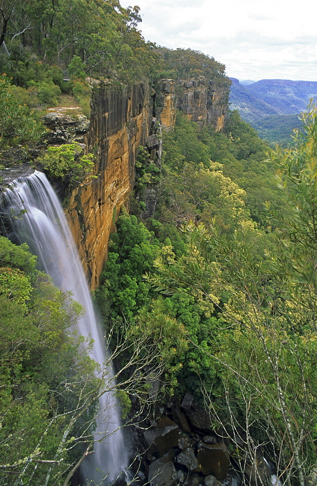 Waterfall in the Morton National Park, Fitzroy Falls, Morton National Park, Southern Highlands, New South Wales, Australia