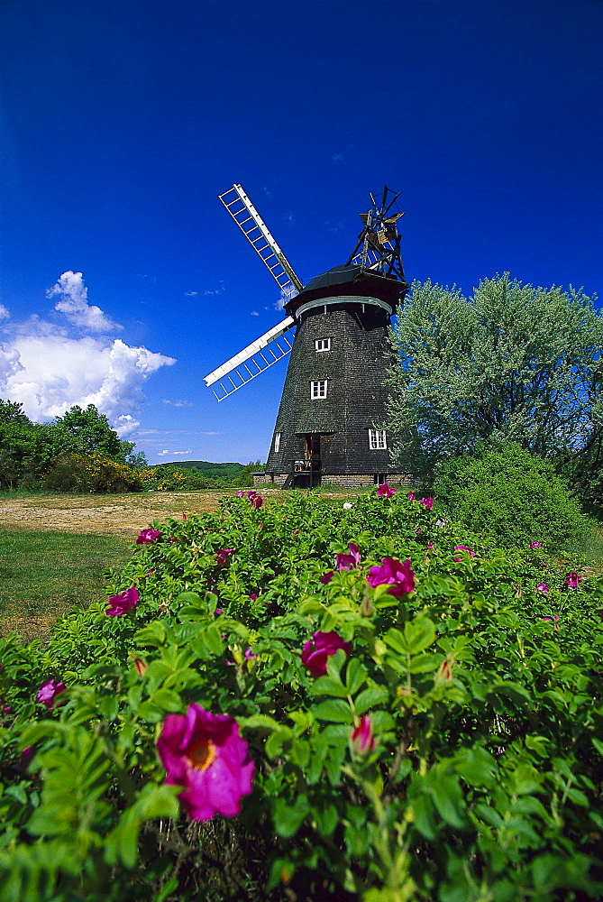 Windmill, Benz, Usedom, Mecklenburg-Vorpommern, Germany