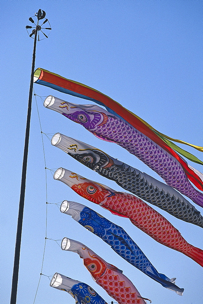 Koinobori, Flying Carp, annual Boy's Day, Japan