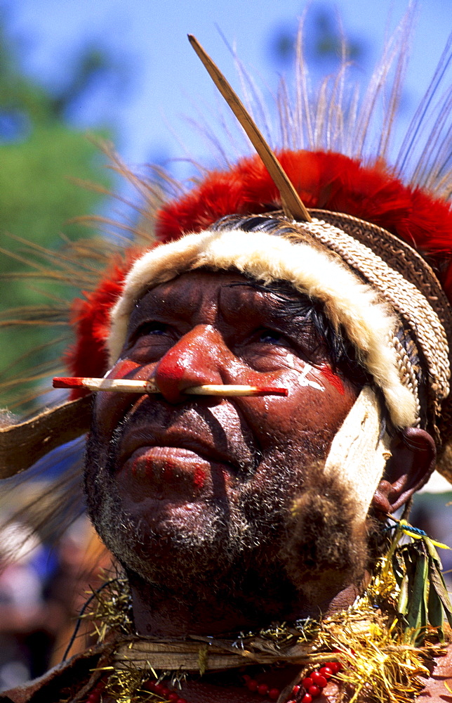 Local man with painted face at the Huli Sing Sing festival, Mt Hagen, Eastern Highlands, Papua New Guinea, Melanesia