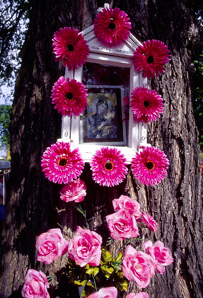 Shrine on tree decorated for Corpus Christi celebration in Spicimierz near Lodz, Poland