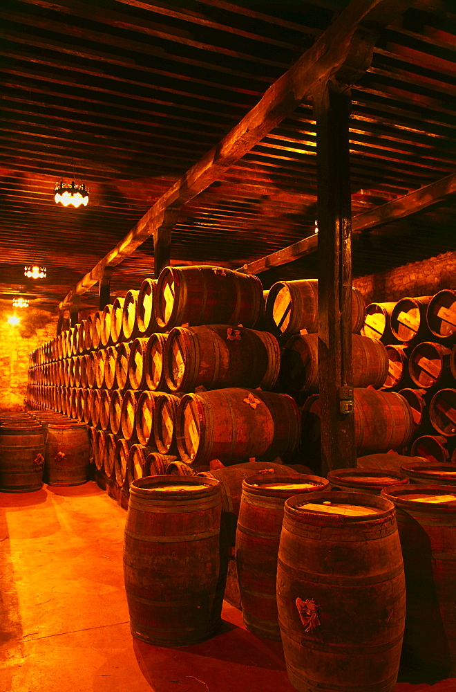 Wine cellar in the winery "Bodegas Muga", Haro, La Rioja, Spain