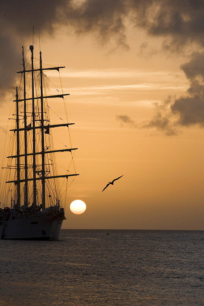 Star Clipper at Sunset, Le Bourg, Terre-de-Haut Island, Ile des Saintes, Guadeloupe