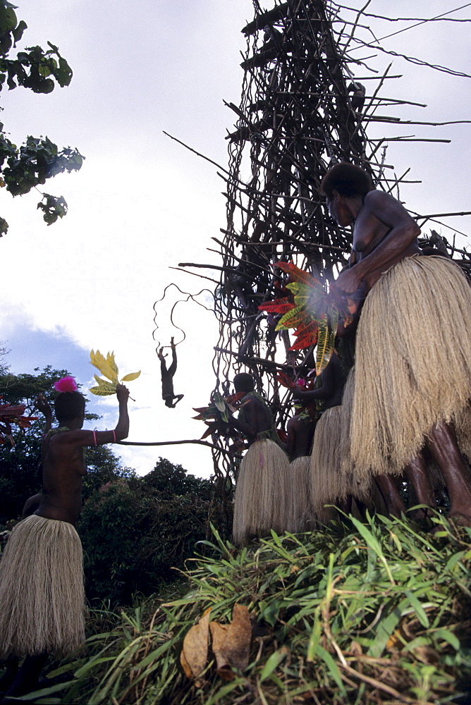 Pentecost Landdiving Ceremony, Pentecost, Vanuatu