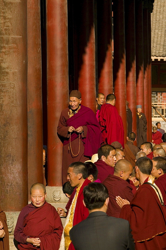 Buddhist monks honouring Wenshus the birthday celebrations, red columns of temple, Xiantong Monastery, Wutai Shan, Five Terrace Mountain, Buddhist Centre, town of Taihuai, Shanxi province, China