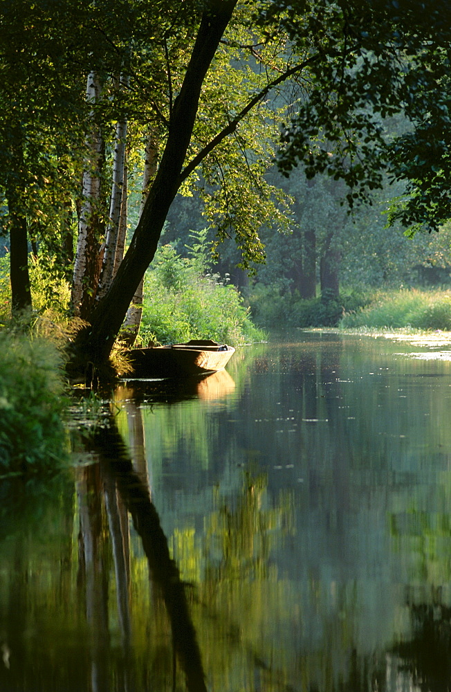 Boat on Spree River, Spreewald, Brandenburg, Germany