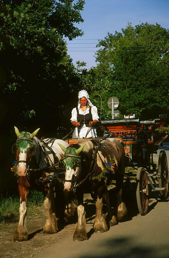 Horse carriage, Prerow, Darss, mecklenburg-Western Pomerania, Germany