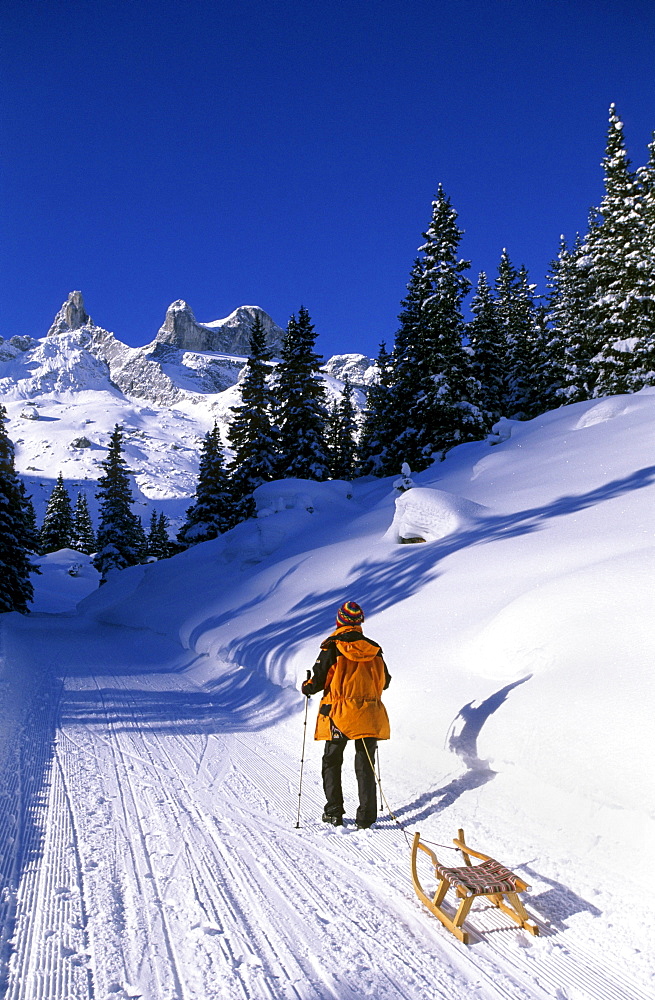 sledging at hut Lindauer Huette, Raetikon range, Vorarlberg, Austria