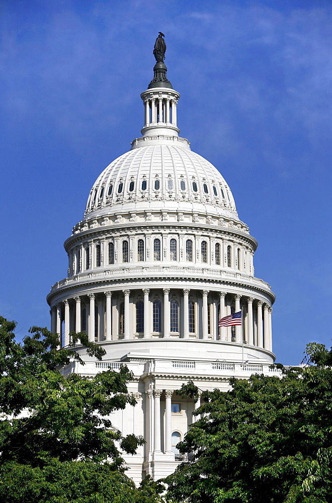 United States Capitol, the United States Congress, the legislative branch of the U.S. federal government, Washington DC, United States, USA