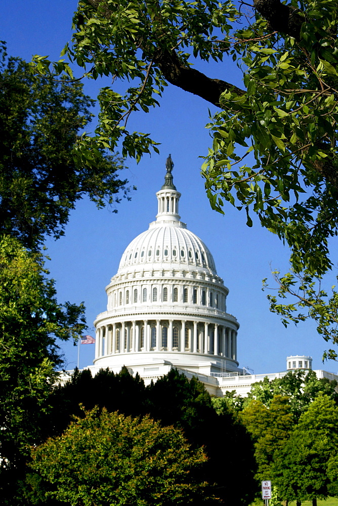 United States Capitol, the United States Congress, the legislative branch of the U.S. federal government, Washington DC, United States, USA