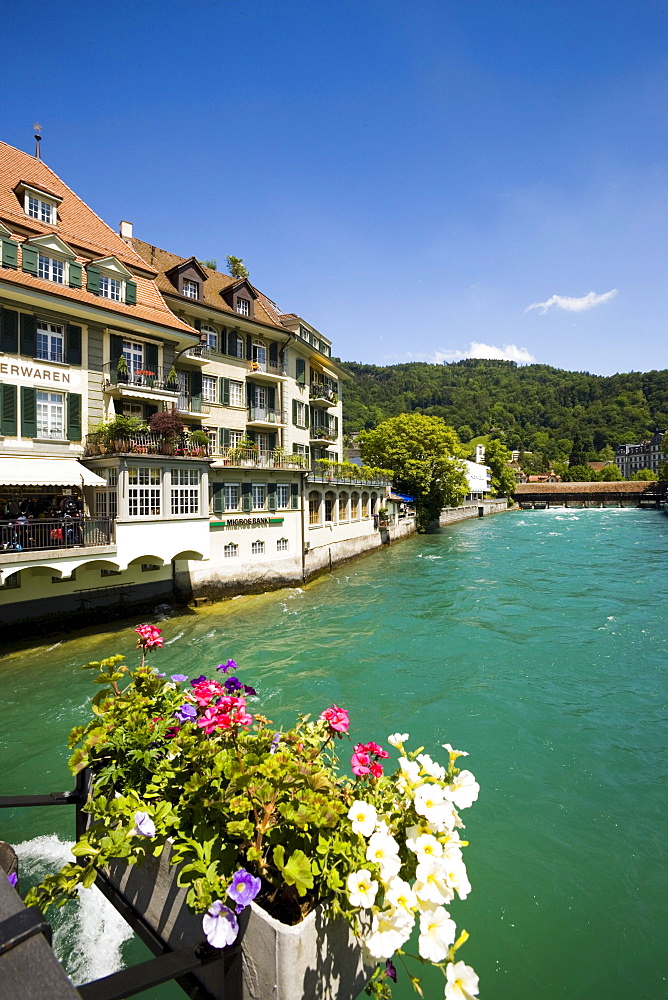 View over river Aaare, Thun (largest garrison town of Switzerland), Bernese Oberland (highlands), Canton of Bern, Switzerland