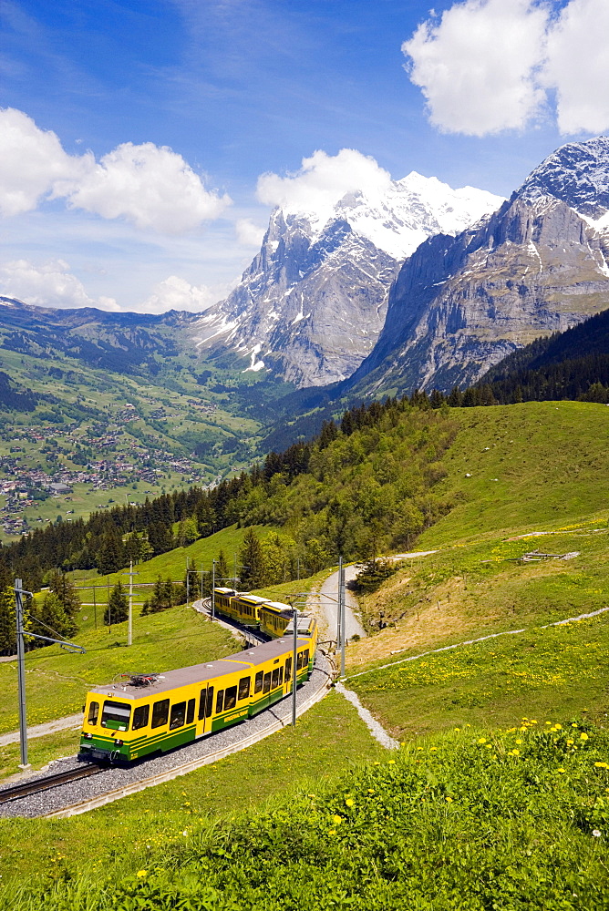 Jungfraubahn on the way from Grindelwald to Kleine Scheidegg, Bernese Oberland (highlands), Canton of Bern, Switzerland