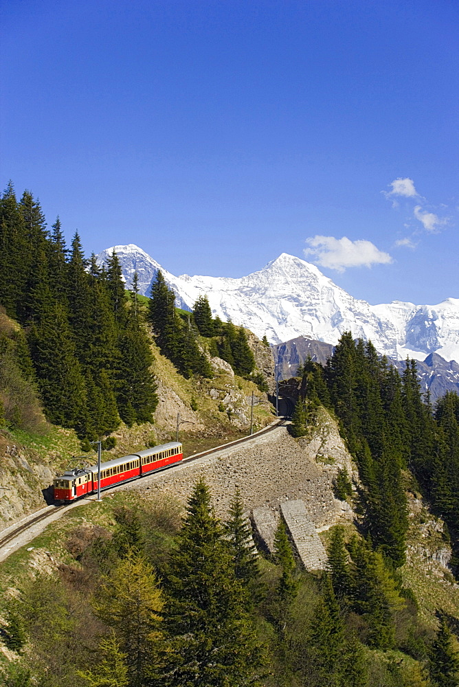 Schynige Platte Railway, Eiger (3970 m), Moench (4107 m) and Jungfrau (4158 m) in background, Schynige Platte (1967 m), Interlaken, Bernese Oberland (highlands), Canton of Bern, Switzerland