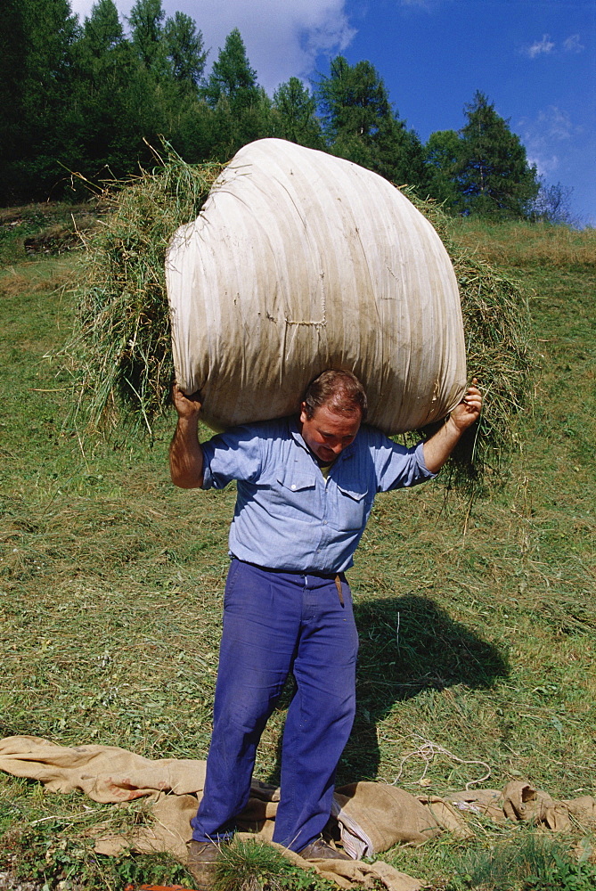 Alpine farmer, Valle di Rabi, Trentino, Italy