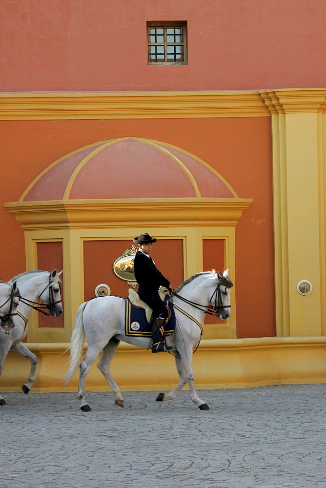 A man on horseback, on a horse, Hotel Hacienda La Boticaria, Vega de Alcala de Guadaira, near Sevilla, Andalusia, Spain, Europe