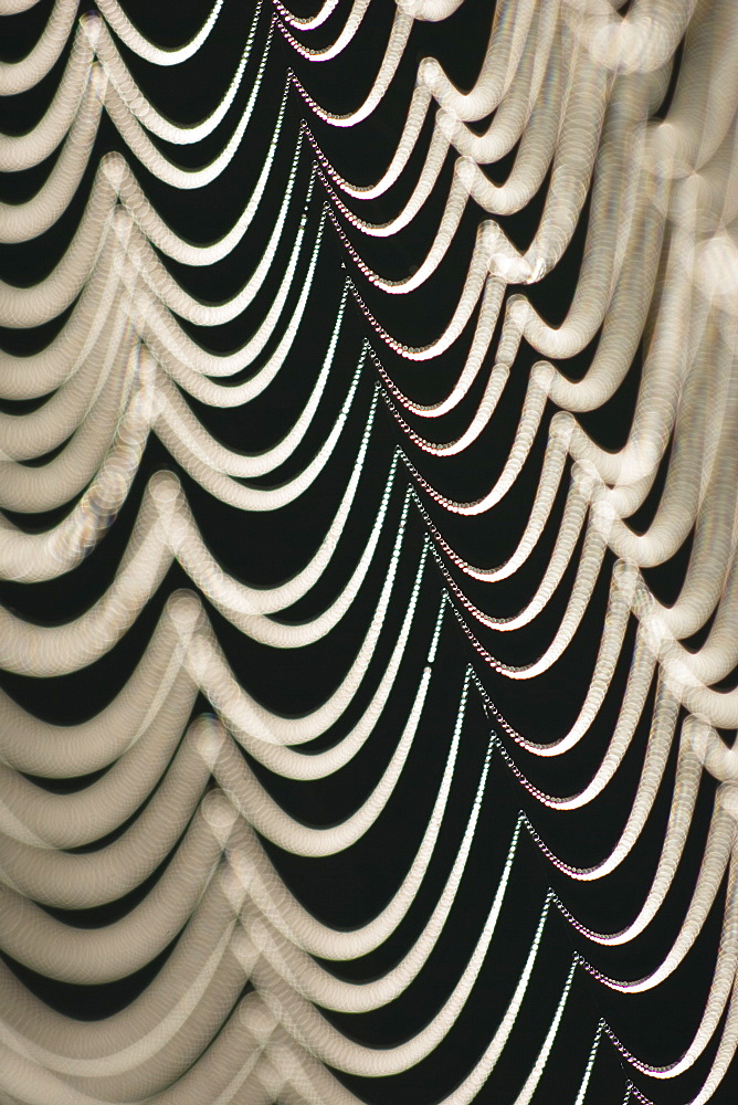 Spiderweb with dew, close up