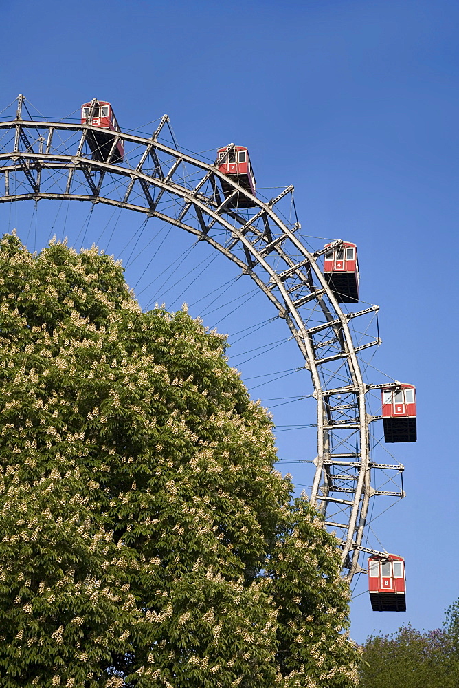 Vienna Austria Prater Big Wheel in spring blooming chestnut trees