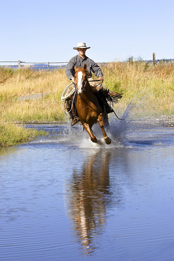 Cowboy riding in water, wildwest, Oregon, USA