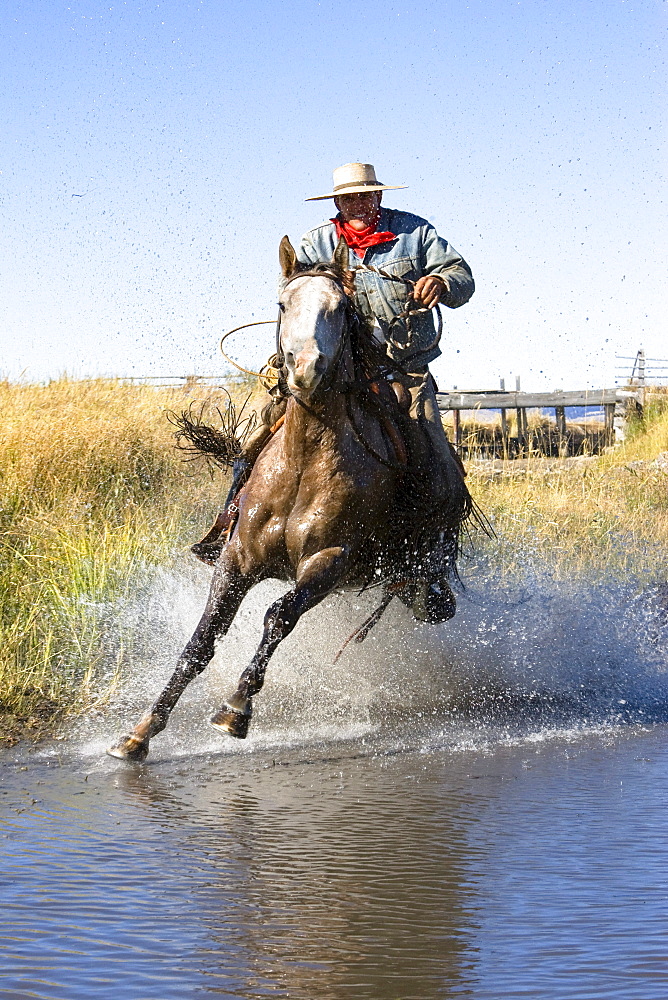 Cowboy riding in water, wildwest, Oregon, USA