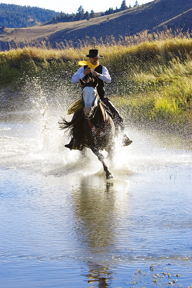 Cowboy riding in water, wildwest, Oregon, USA