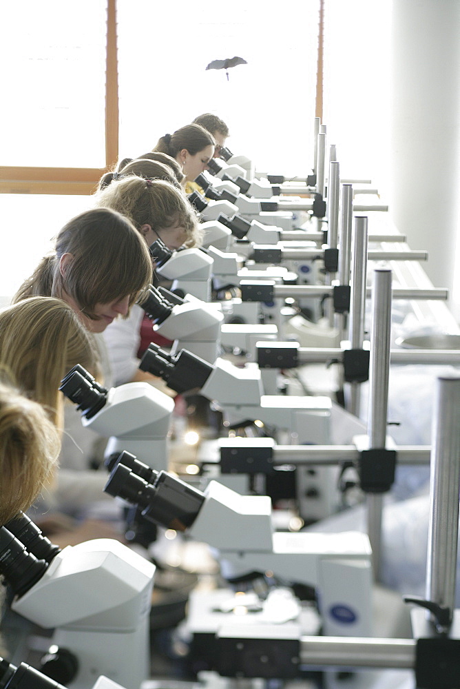 Students in zoological training, Bio Center, LMU, Ludwig Maximilians Universitaet, Martinsried, Munich, Bavaria, Germany