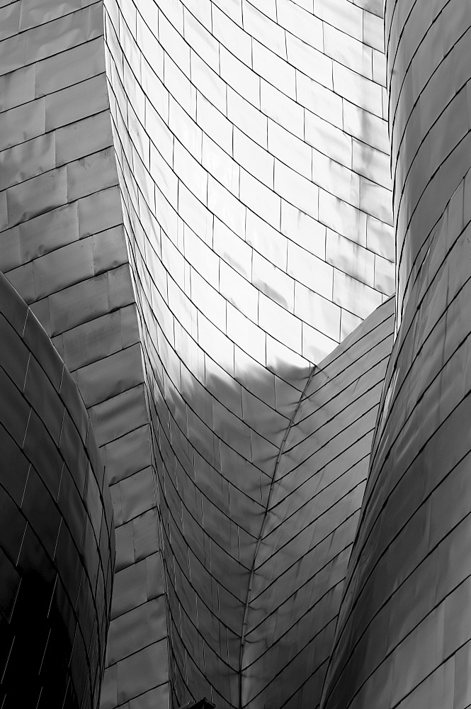 Architectural detail, Guggenheim Museum, Bilbao, Spain