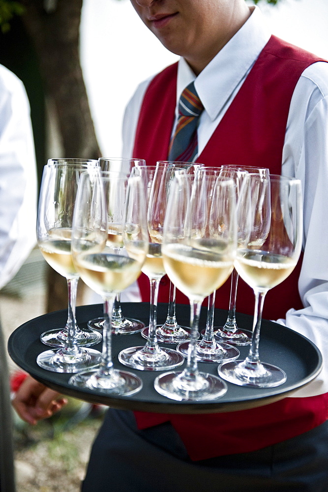 Waitress carrying a tray full of white wine, Wine region, Poysdorf, Lower Austria, Austria