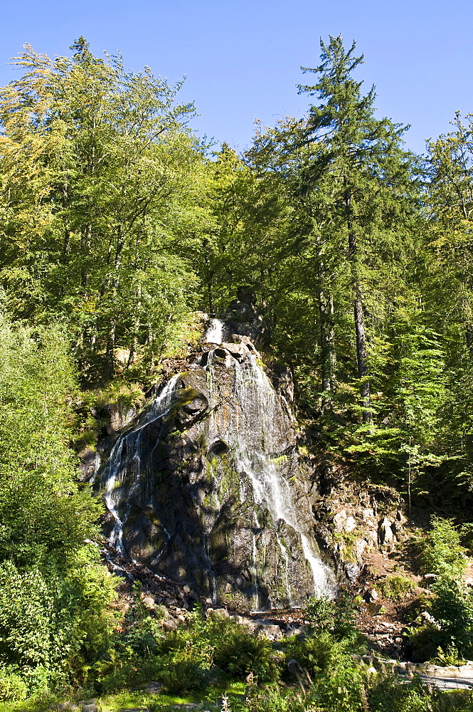 Radau Waterfall near Bad Harzburg, Harz, Lower Saxony, Germany