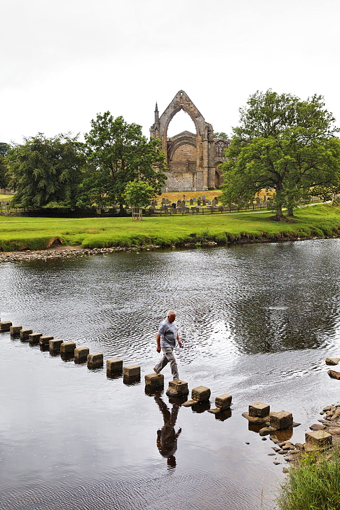 Ruins of the Bolton Abbey at the banks of Wharfe river, Yorkshire Dales National Park, Yorkshire Dales, Yorkshire, England, Great Britain, Europe