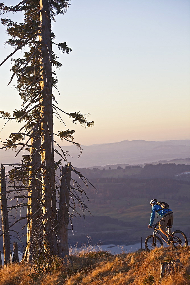 Mountainbiker riding on a trail in the Alps, Alpspitz, Bavaria, Germany, Europe