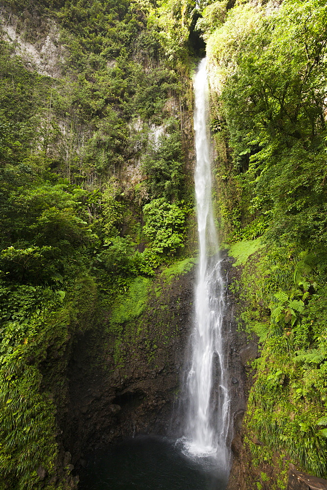 Waterfall Middleham Falls, Morne Trois Pitons National Park, Dominica, Leeward Antilles, Lesser Antilles, Antilles, Carribean, West Indies, Central America, North America