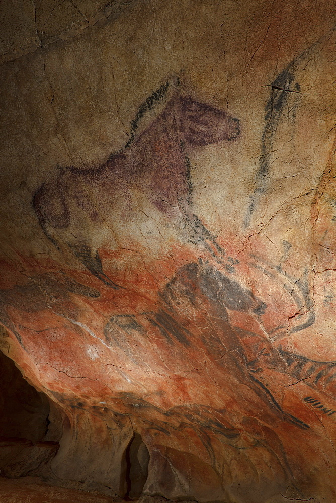 Horses, prehistoric painting, cave painting, about 15000 BC, Cueva de Tito Bustillo, cave near Ribadesella, replica, Parque de la Prehistoria de Teverga, Teverga, Park of Prehistory in Teverga, province of Asturias, Principality of Asturias, Northern Spain, Spain, Europe