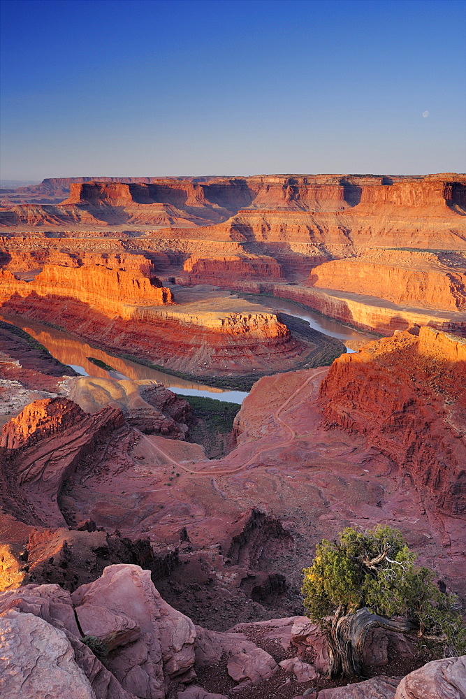 Sunrise at Dead Horse Point with view to Colorado River, Canyonlands National Park, Moab, Utah, Southwest, USA, America