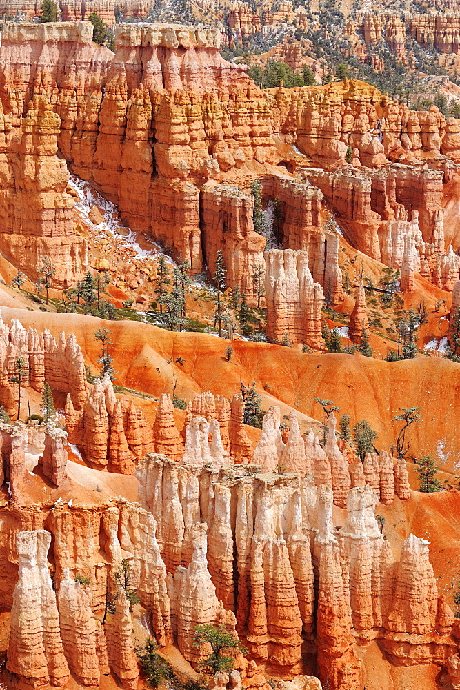 Rock spires in Bryce Canyon, Bryce Canyon National Park, Utah, Southwest, USA, America