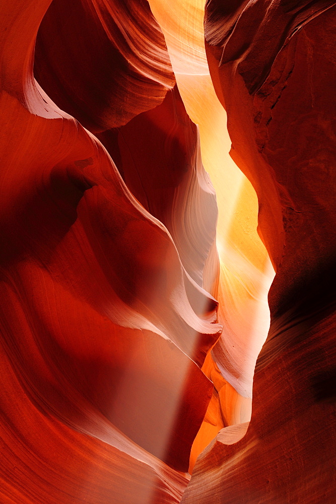 Sunbeams falling in colourful sandstone slot canyon, Upper Antelope Canyon, Antelope Canyon, Page, Arizona, Southwest, USA, America