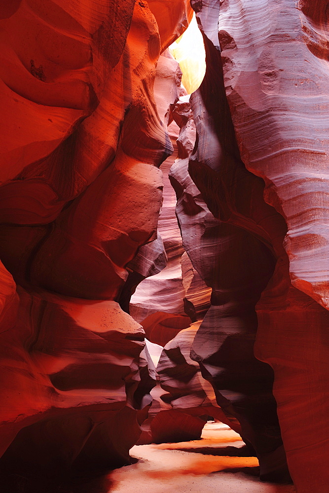 Sun illuminating colourful sandstone slot canyon, Upper Antelope Canyon, Antelope Canyon, Page, Arizona, Southwest, USA, America