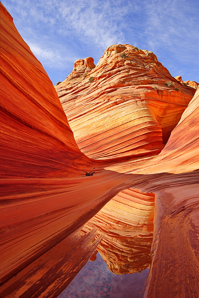 Red sandstone reflecting in water, The Wave, Coyote Buttes, Paria Canyon, Vermilion Cliffs National Monument, Arizona, Southwest, USA, America