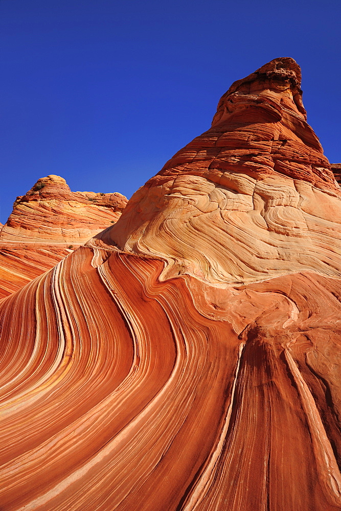 Red sandstone formation under blue sky, The Wave, Coyote Buttes, Paria Canyon, Vermilion Cliffs National Monument, Arizona, Southwest, USA, America